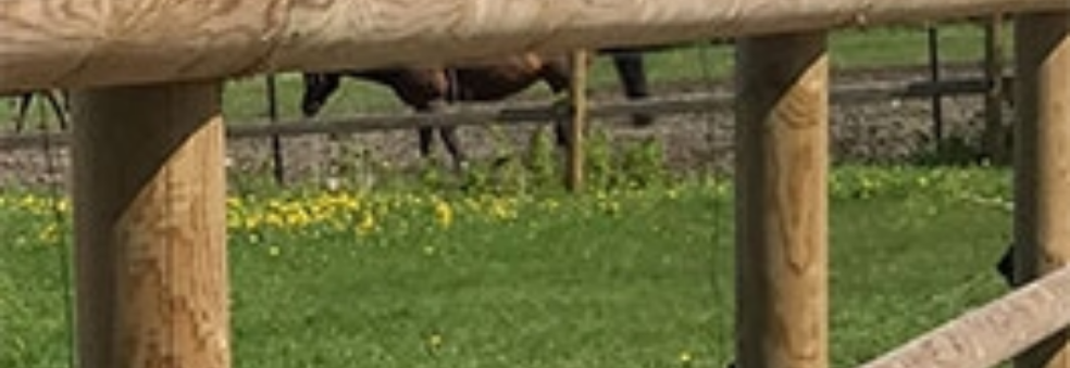 Dugnad på Aurdal Travbane